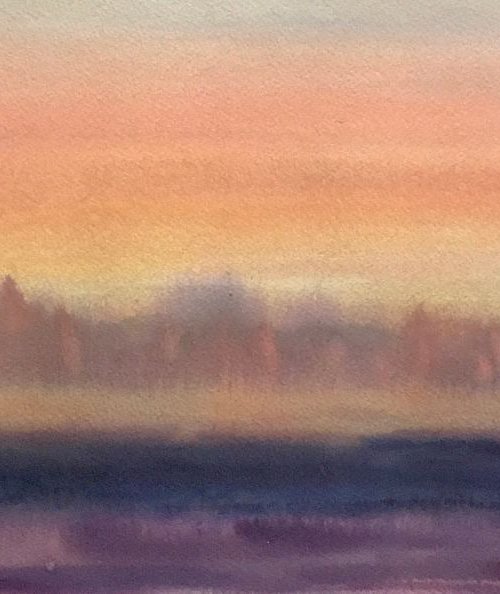 Forest lighting up by Samantha Adams
