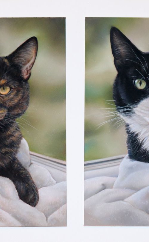 Commission of two cats by Tatjana Bril