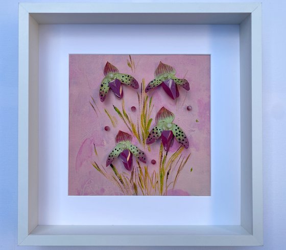 Orchid Reverie-3