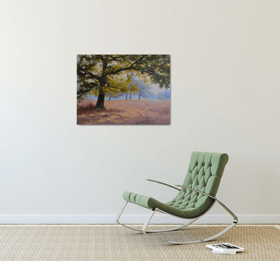 Autumn in an oak grove