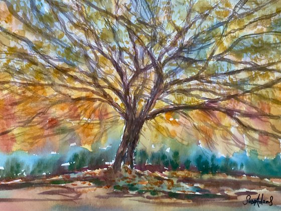 The tree by Stourhead lake