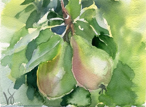 Pears in the tree