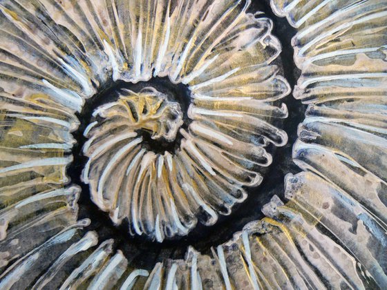 Ammonite (textured artwork of a fossil ammonite) #2