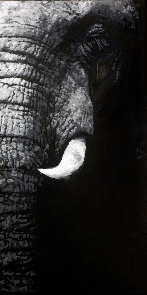 Elephant by Alexandr Klemens