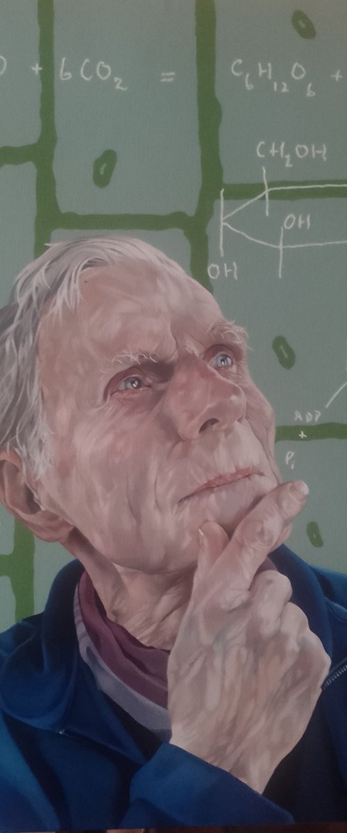 Formulae for life by Jo Beer