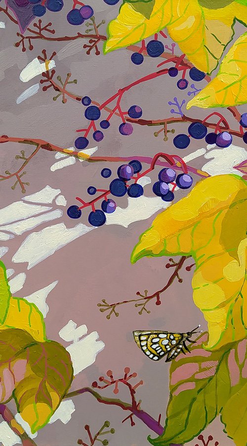 Veitchii grapes by Margot Raven