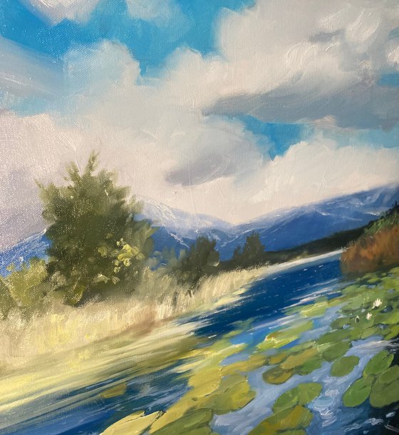 Lily Pads and Peaks