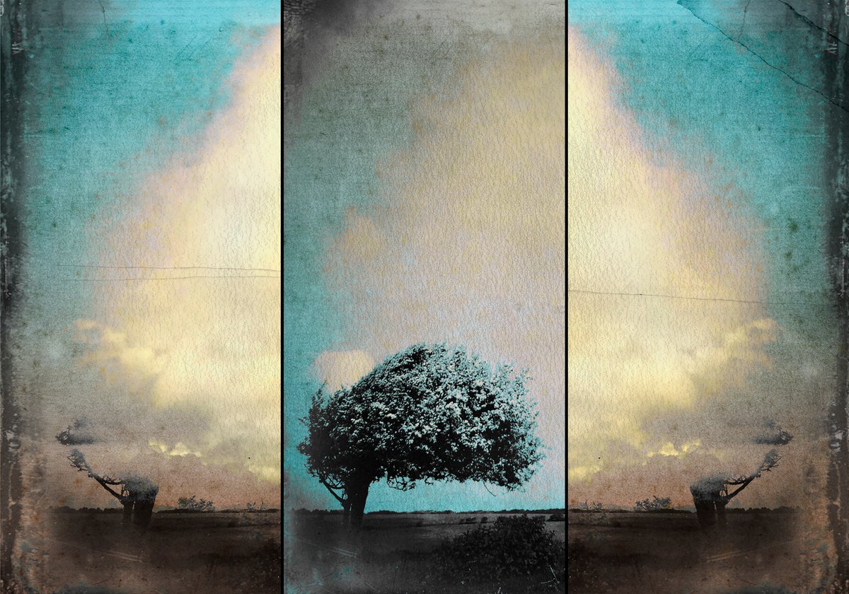 Landscape Photograph By Claire Newman-Williams, 24 X 18, Thunderhead, Original Artwork