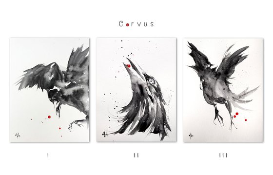 Corvus II