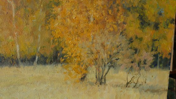 Gold Of Autumn - sunny autumn landscape painting