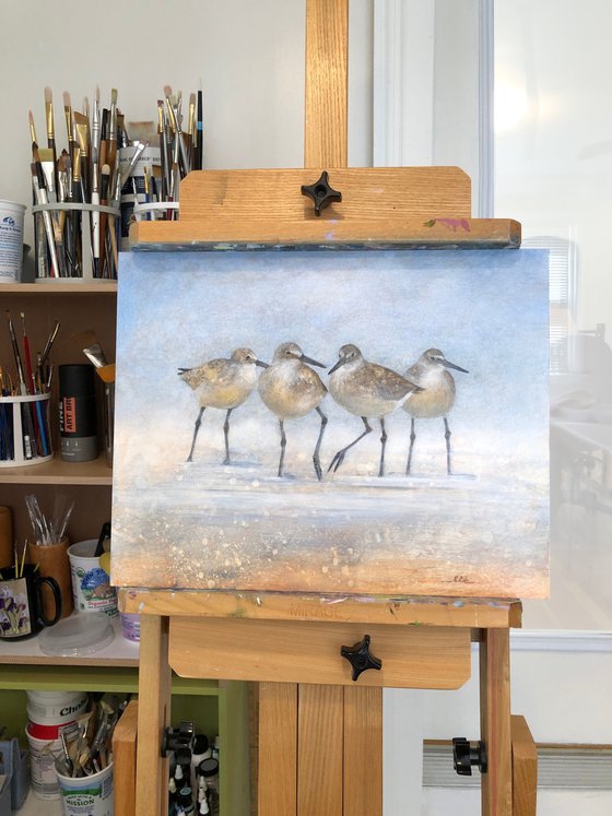 Wading Shorebirds