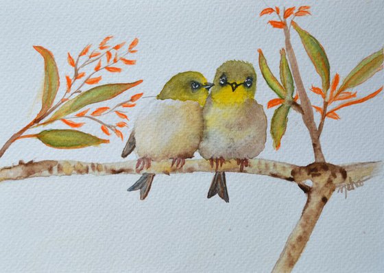 Oriental white-eyes