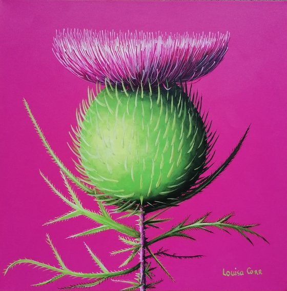 Spear Thistle