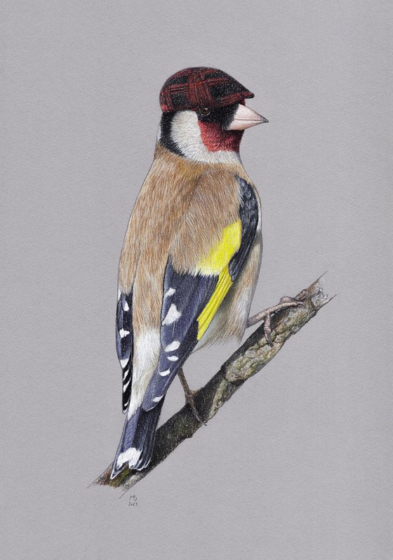 Original pastel drawing bird "European goldfinch"