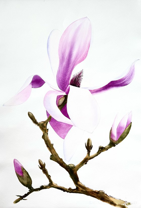 Diptych Wild Pink magnolia