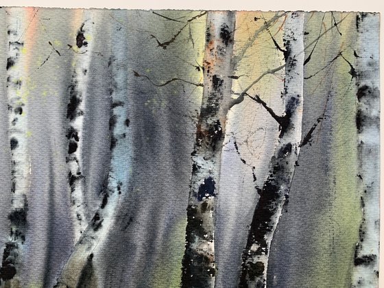 Birch Grove #2