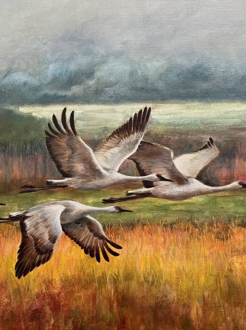 Warm rain through sunlight by Alina Marsovna