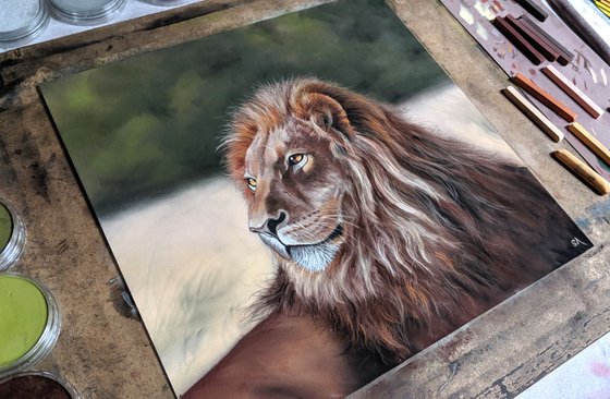 Lion (Original Pastel Painting)