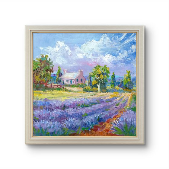 French Lavender Fields