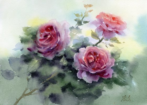 A branch of red roses