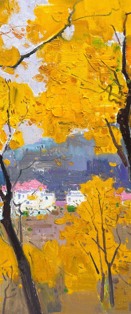 Birch trees forrest 237 by jianzhe chon