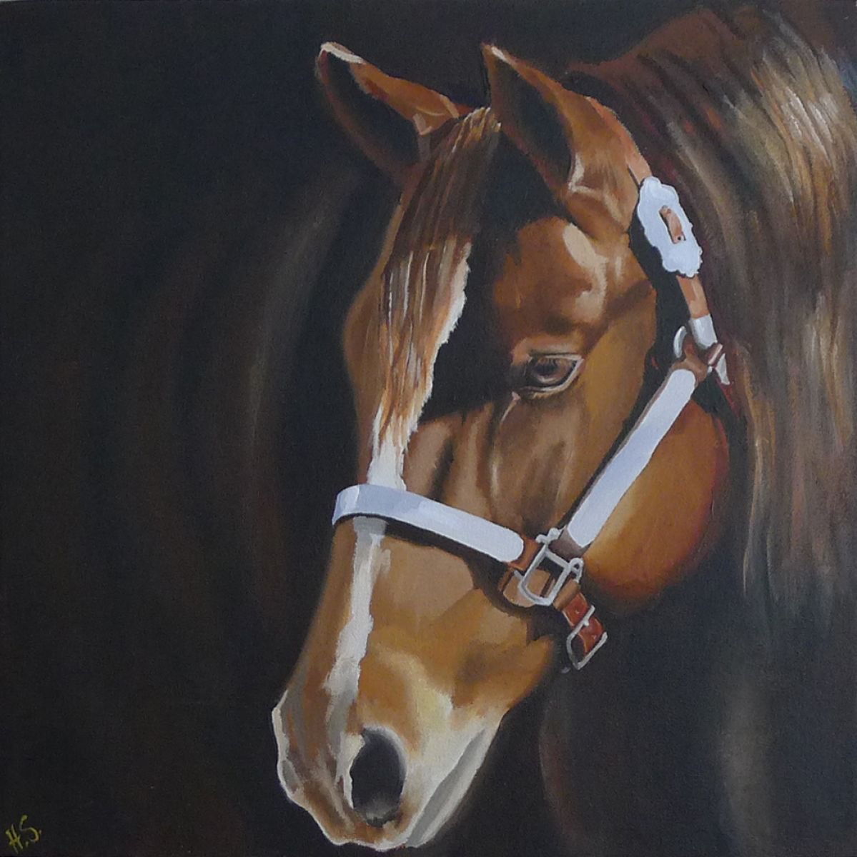 Chestnut Horse By Helen Sinfield, 16 X 16, Artwork For Sale On Artfinder