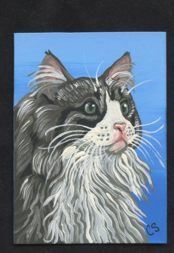 ACEO ATC Original Painting Maine Coon Cat Pet Kitty Art-Carla Smale