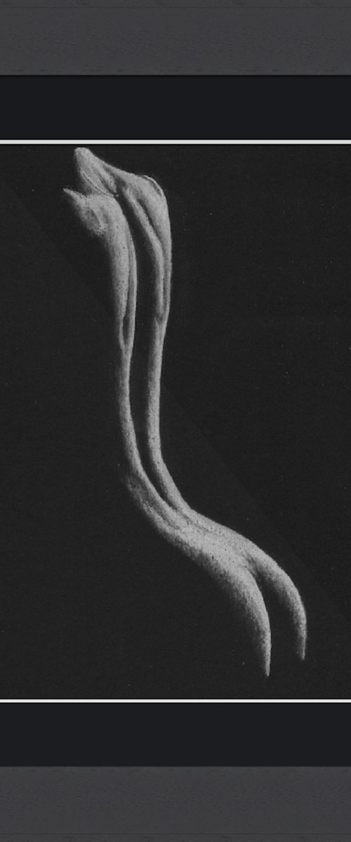 Shadow Series 2021 a by Paul Stowe