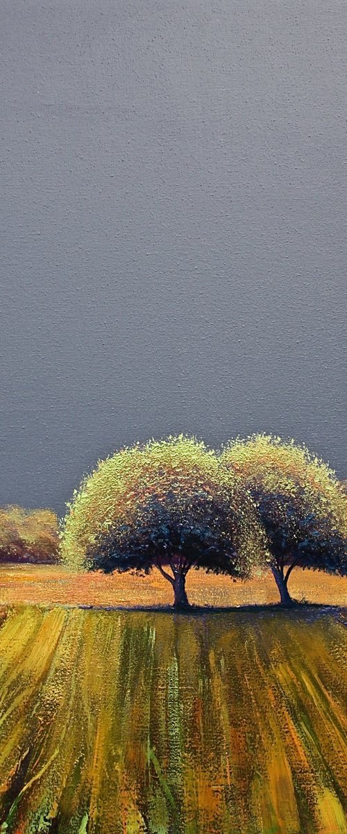 Solaris Dreamfields XVII by Simon Jones