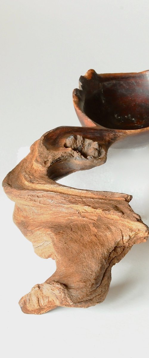 Wooden Spoon Mopane by Roland Köpfer