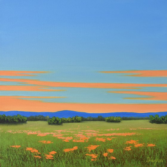 Orange Poppies - Colorful Flower Field Landscape