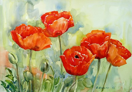 Large red poppies / ORIGINAL watercolor ~20x14in (50x35cm)