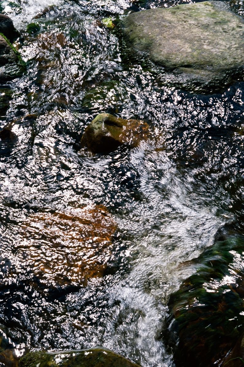 Organic Abstract Photograph By Justice Hyde, 24 X 36", Water 2 - Unmounted, Original Artwork