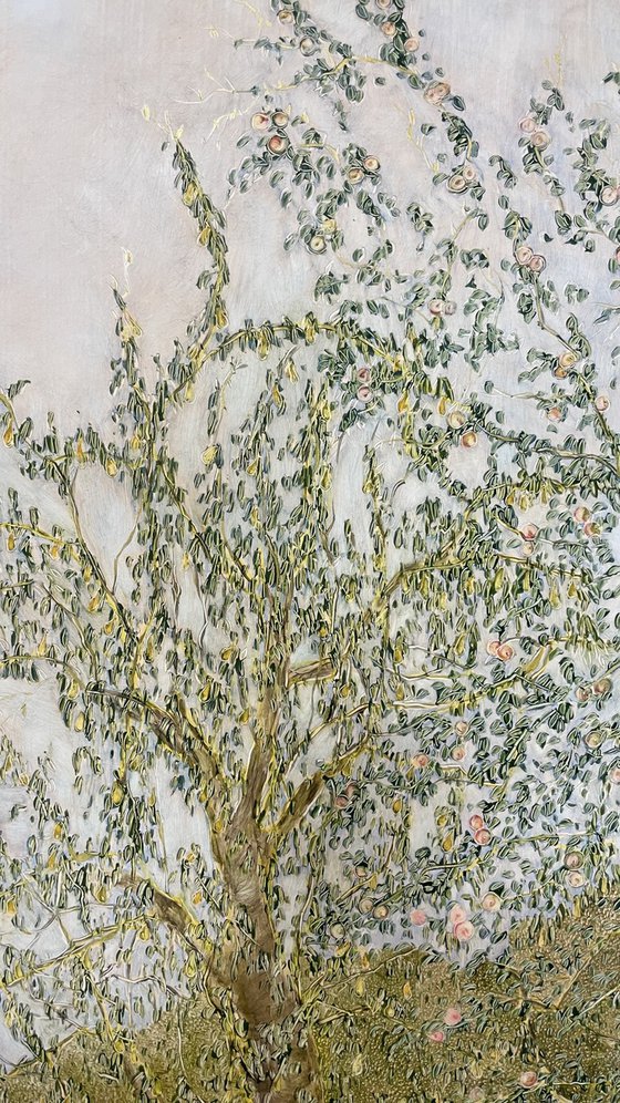 Make a wish and go to sleep.