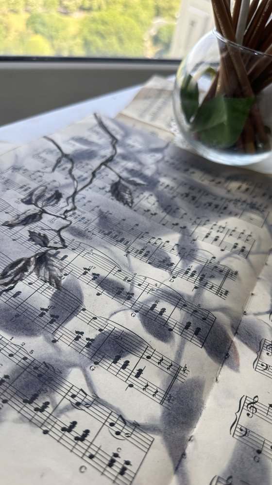 Silhouette Sonata No.7 - Spring Coffee Music