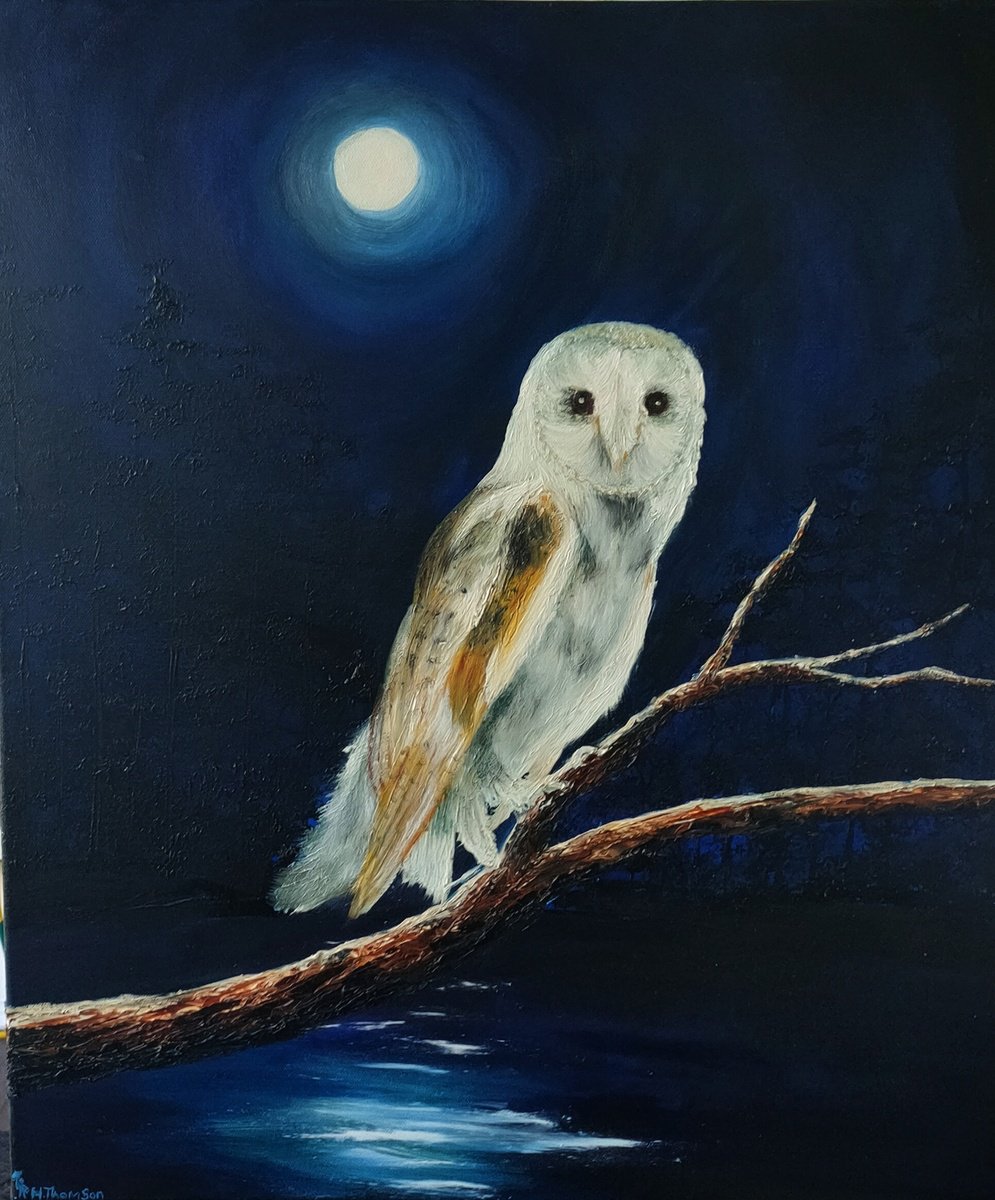 Barn Owl at Night by Hazel Thomson