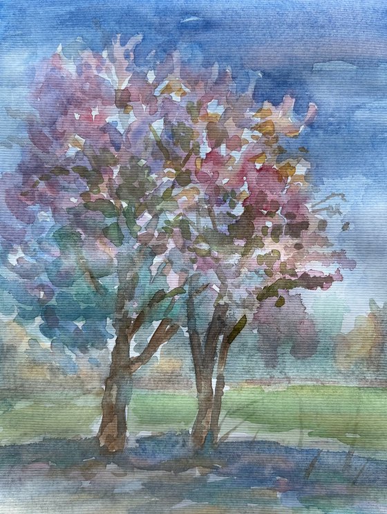 Sakura tree in bloom, original watercolour artwork