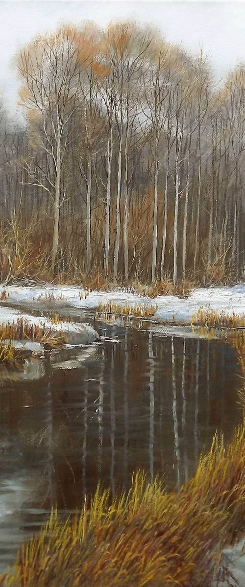 Cold Winter Day by Oleg Riabchuk