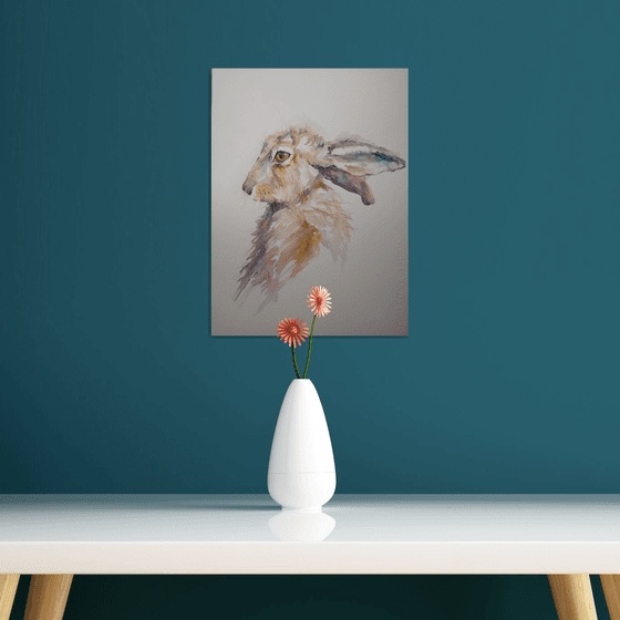 Bashful hare