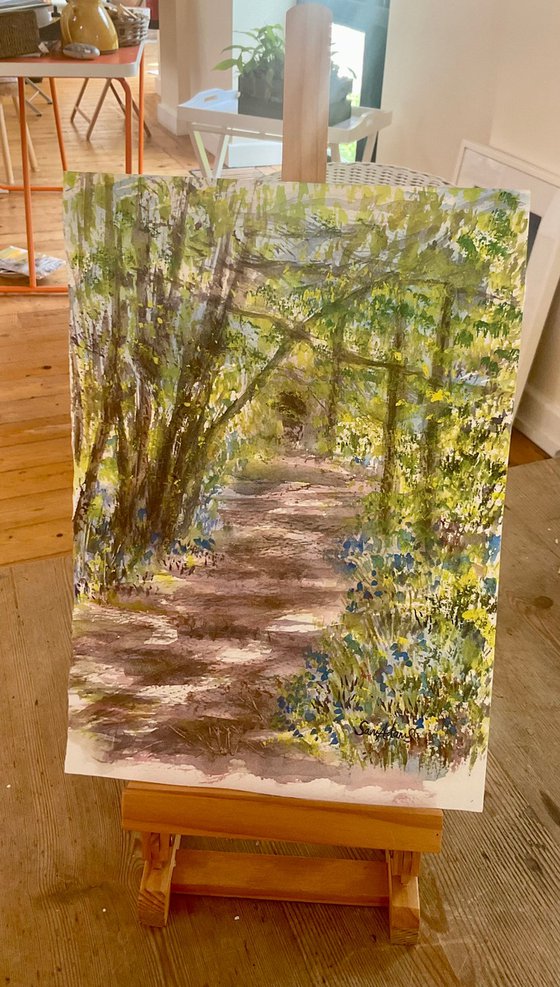 In the bluebell wood