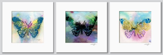 Alluring Butterfly Col. 1