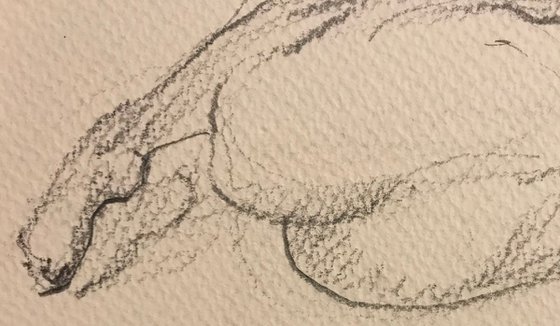 Nude pencil drawing 150820191