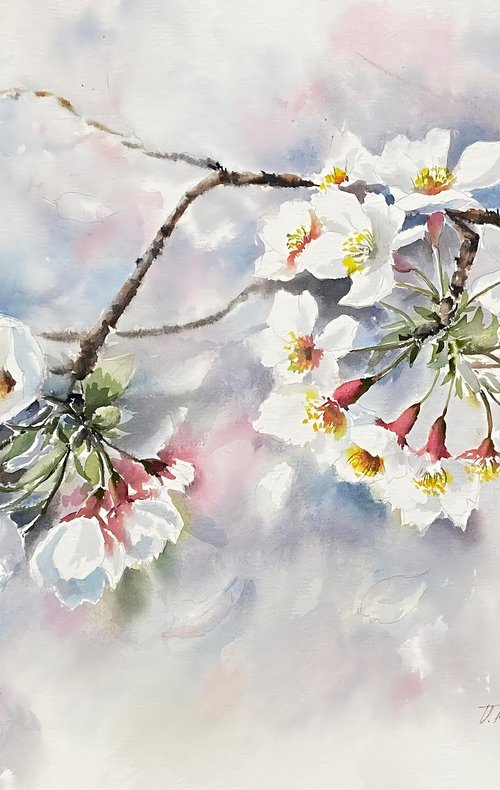 Whisper of petals, blossoms, apples by Natalia Butenko