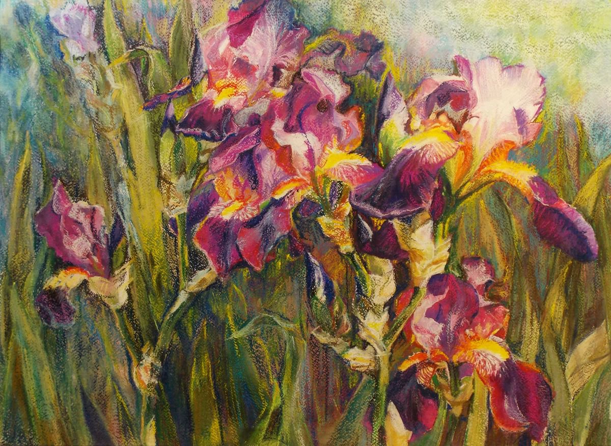 Impressionistic Pastel Drawing , Irises In The Garden By Yurii Pashkov, 30 X 22, Artwork For Sale On Artfinder