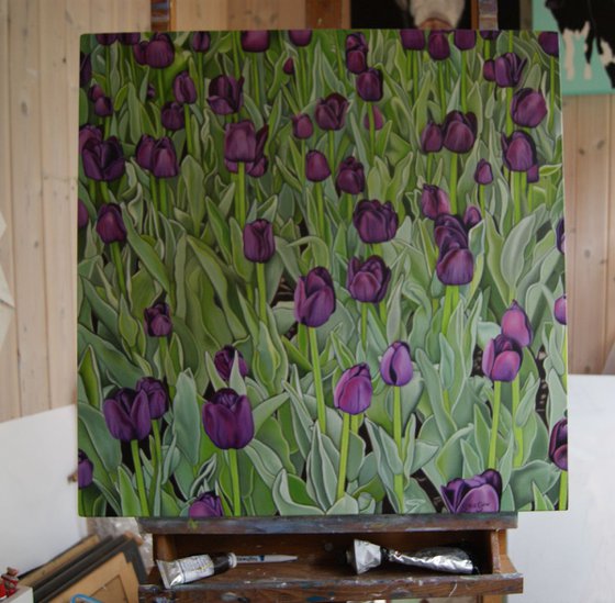 Purple Tulips