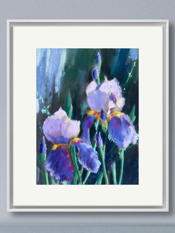 Blue Iris