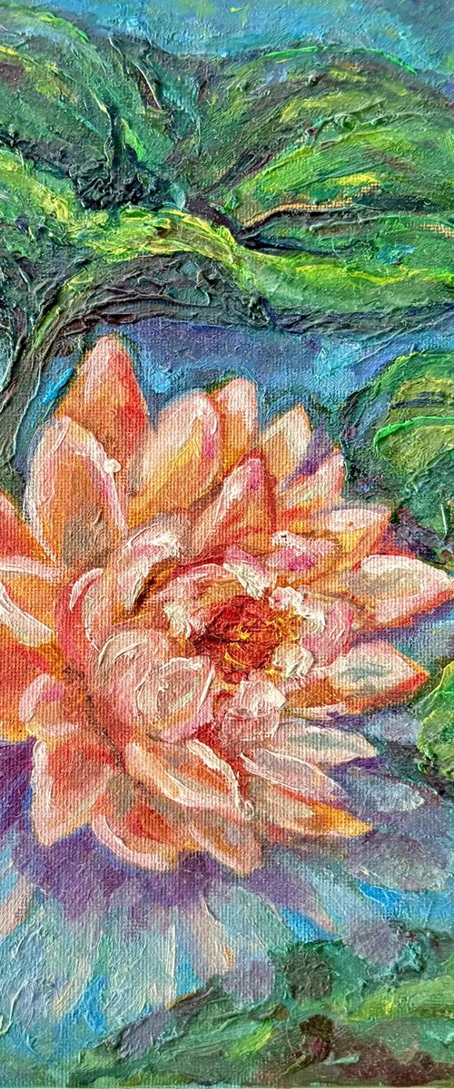 Pink Lotus by Katia Ricci