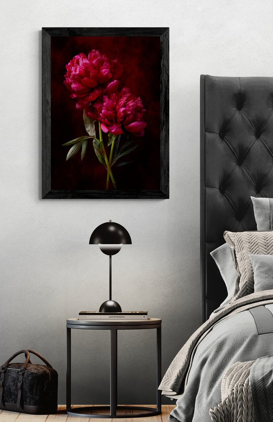 Crimson Peonies