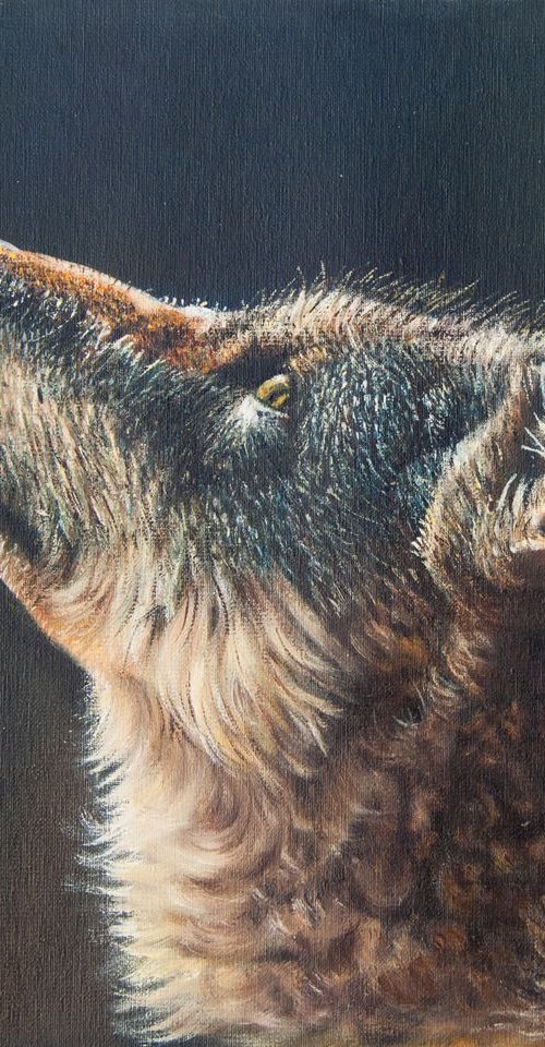 Wolf by Norma Beatriz Zaro