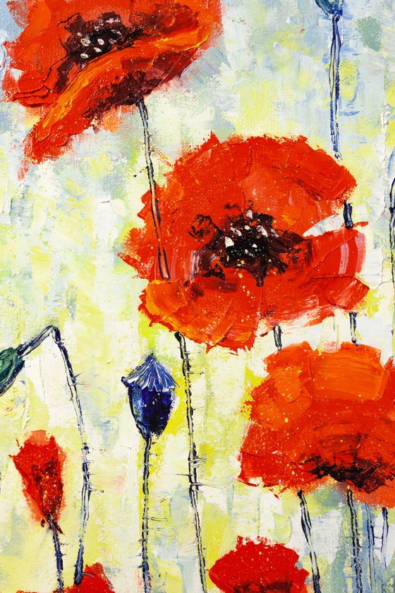 Poppies